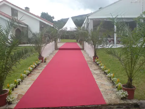 Pasillo con alfombra roja y palmeras hacia una carpa de celebración